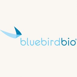 Bluebird